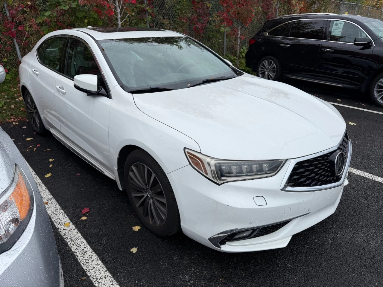 2018 Acura TLX Elite https://www.acuramontrealcentre.com/resize/b990ff35b810a3abc0cc817b2ca24889-1