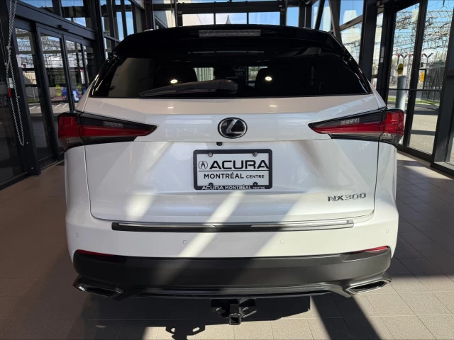Lexus NX300 NX 300 2018