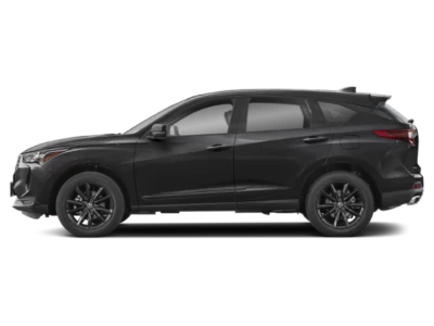 Profil, orienté vers la gauche