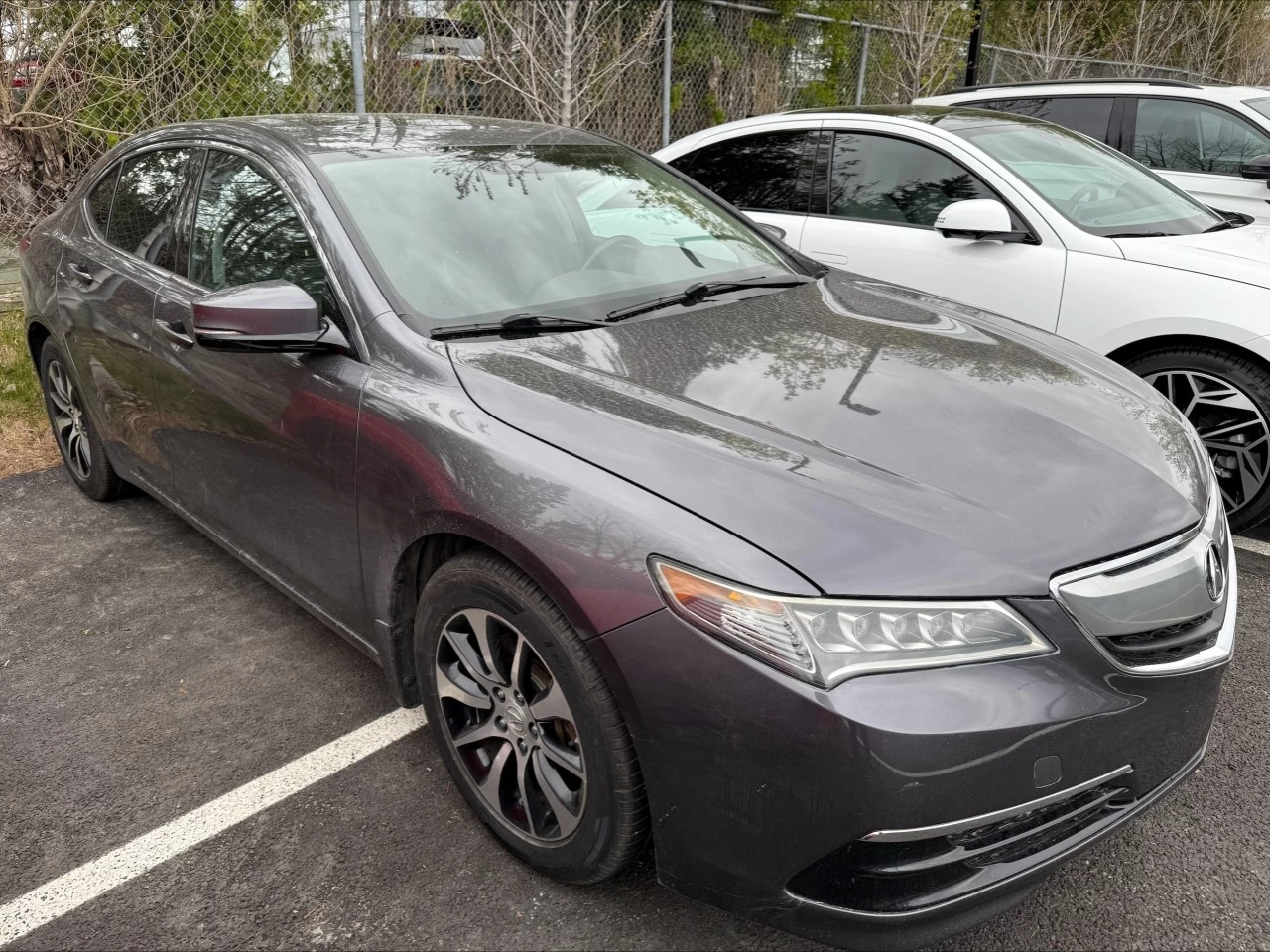 2017 Acura TLX V6 Tech https://www.acuramontrealcentre.com/resize/b990ff35b810a3abc0cc817b2ca24889-1