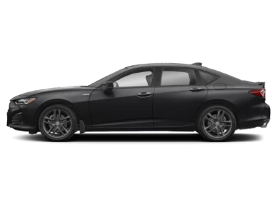 Profil, orienté vers la gauche