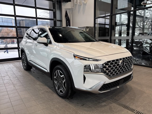 Hyundai Santa Fe hybride Luxury 2021