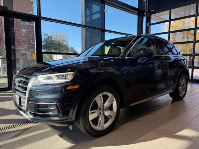 Audi Q5 Technik 2019