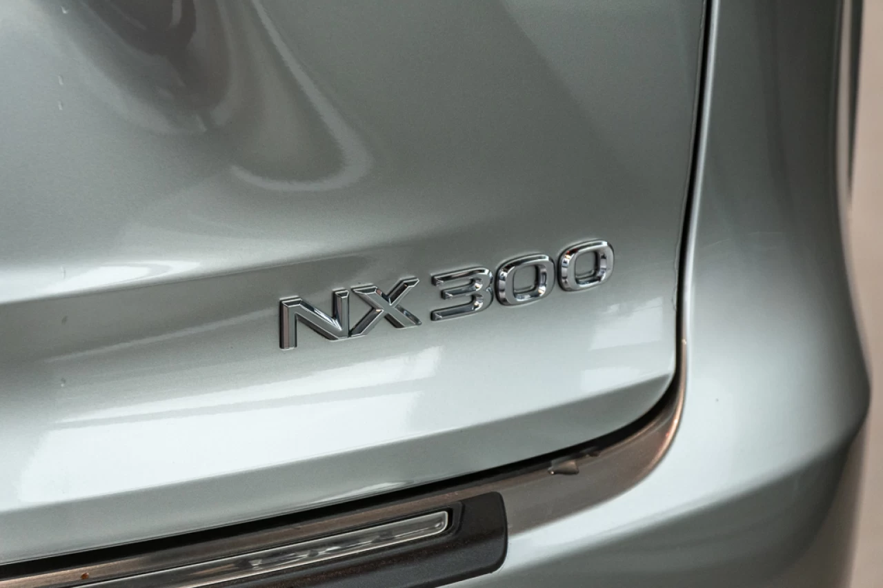 2020 Lexus NX300
                                                     Main Image