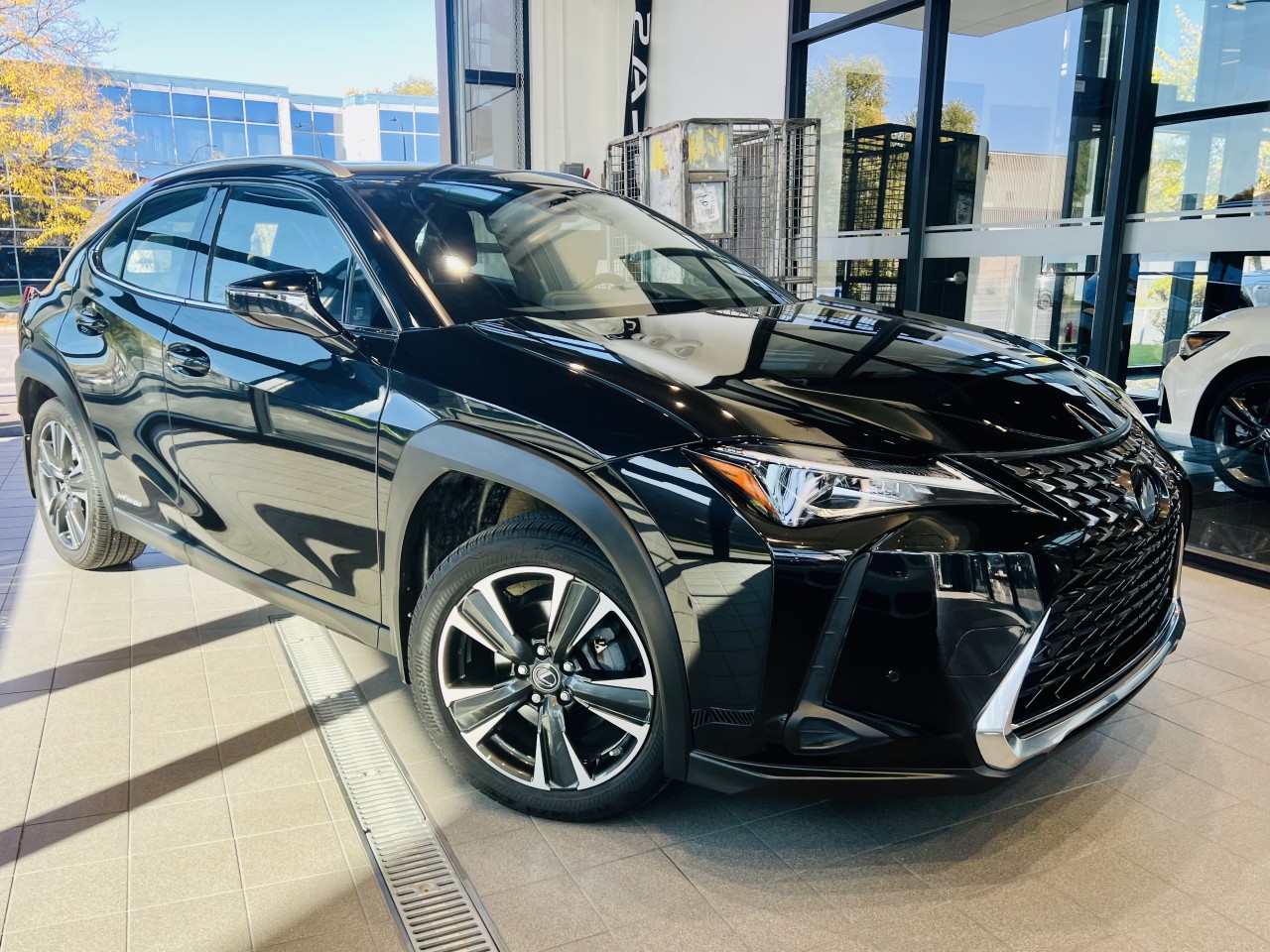 Lexus 2020 UX250h UX 250h
