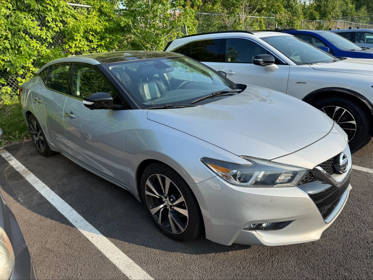 Nissan 2016 Maxima Platinum
