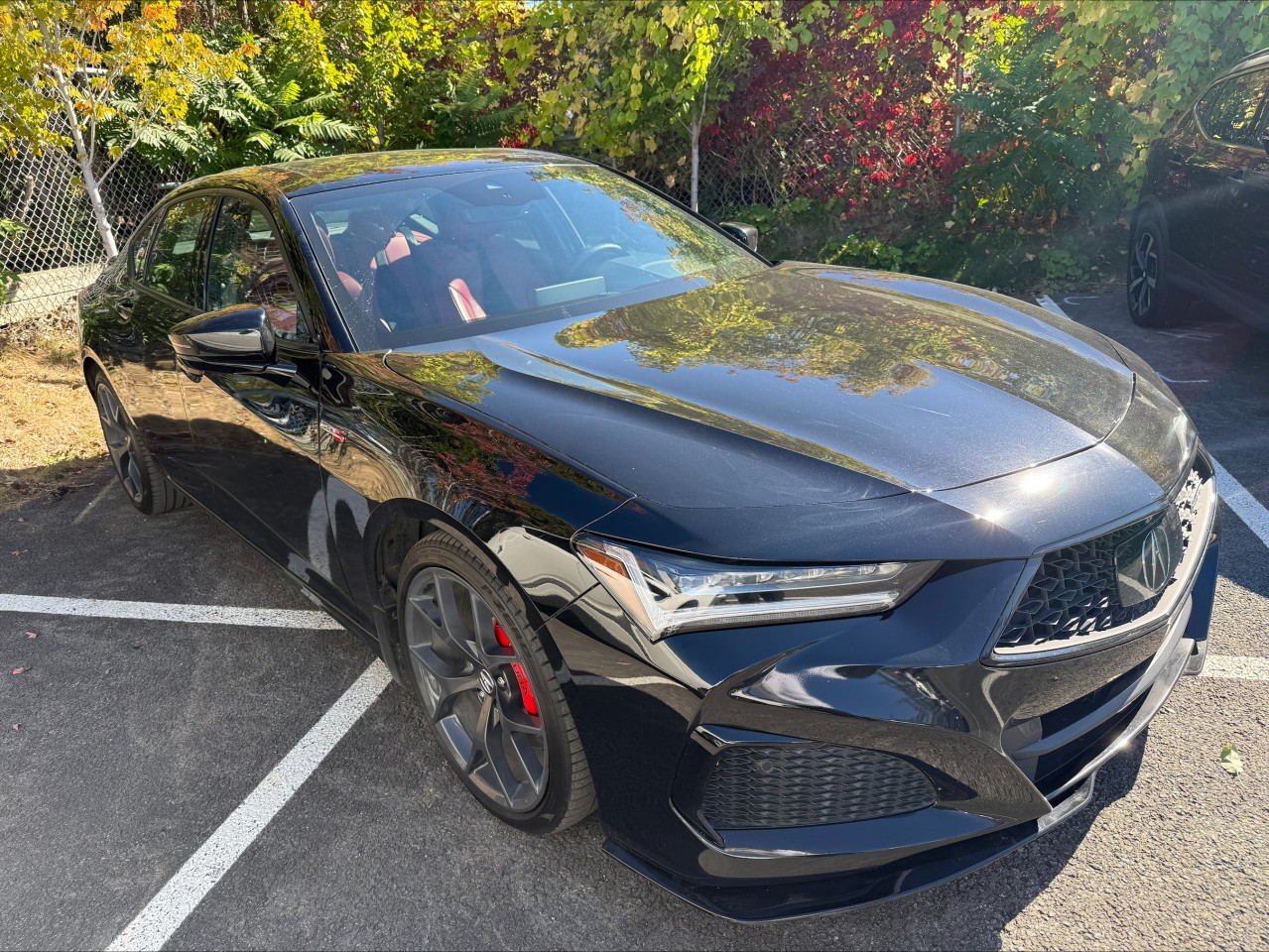 Acura 2023 TLX Type S